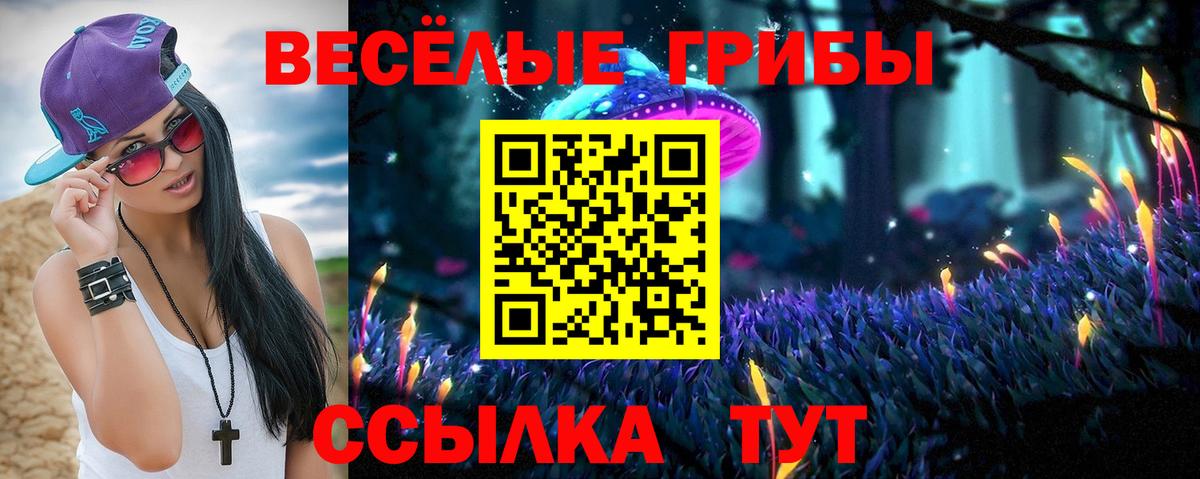 Псилоцибиновые грибы прущие грибы  Вход с VPN  Кувандык 