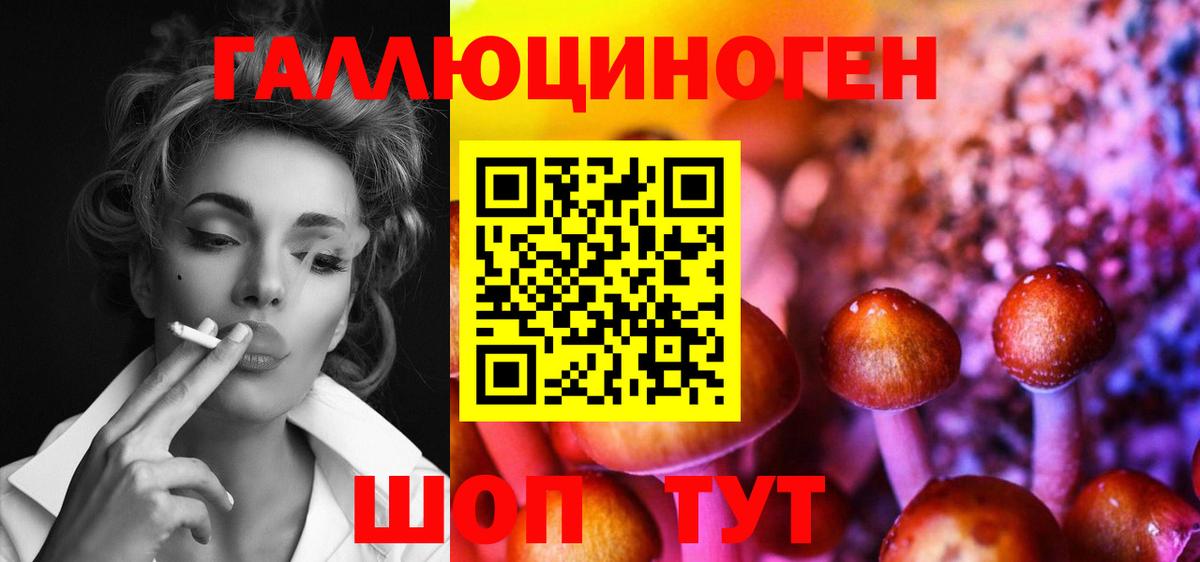 Псилоцибиновые грибы GOLDEN TEACHER Кувандык